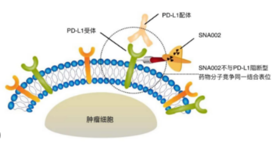  VHH Antibody Drugs